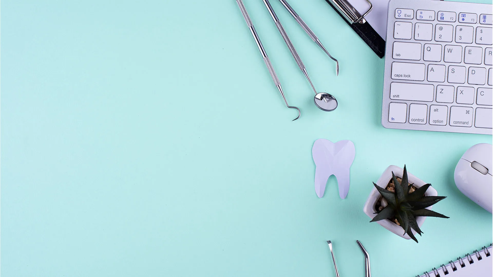 Endodonție